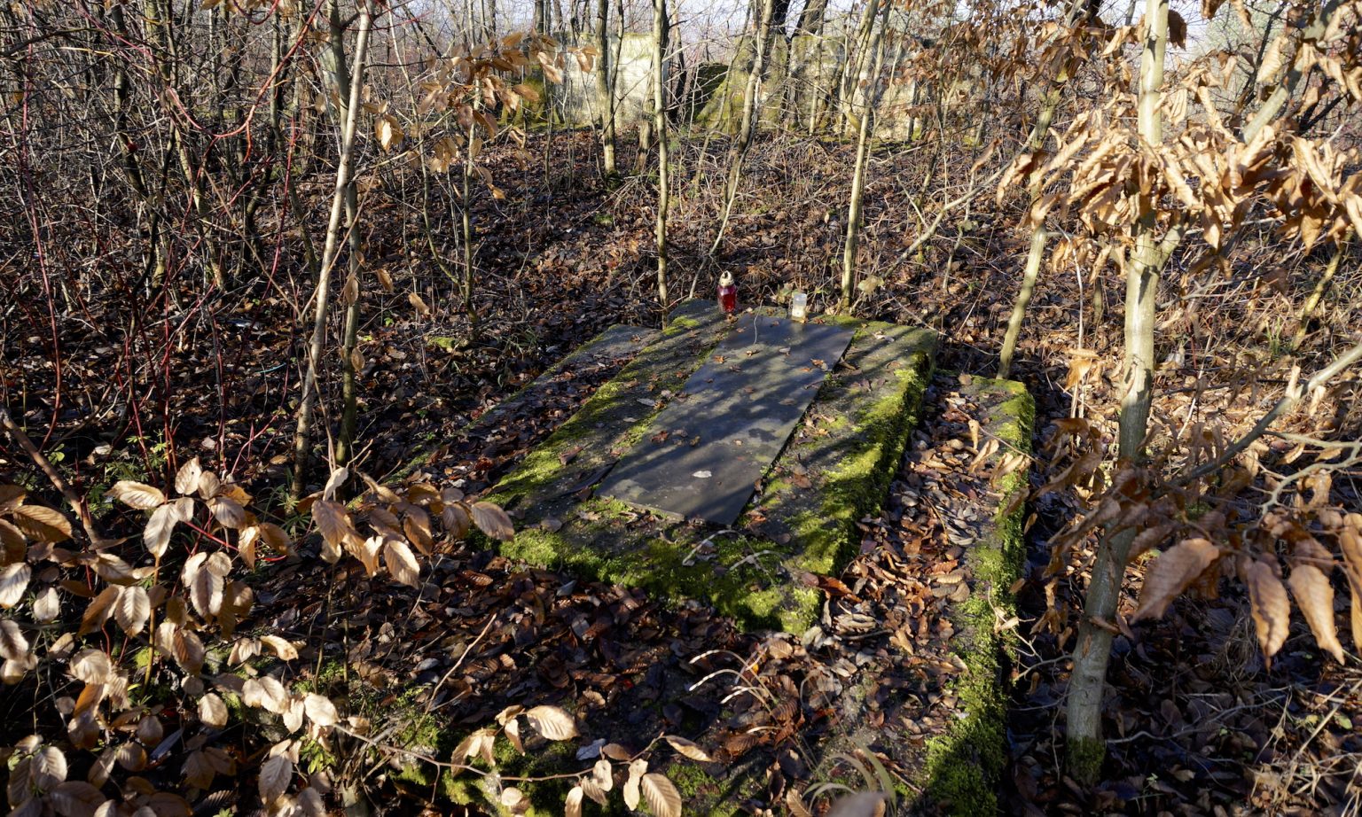 Case study monument 08 image